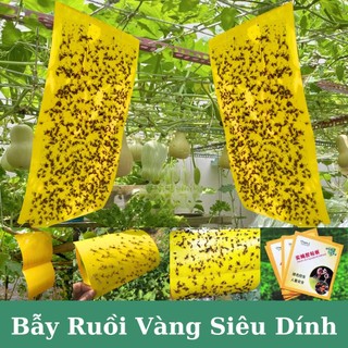 Bẫy ruồi vàng,Bẫy côn trùng,2 mặt keo,dạng ,bẫy tất cả côn trùng,Độ dính cao,Dùng cho vườn rau củ quả