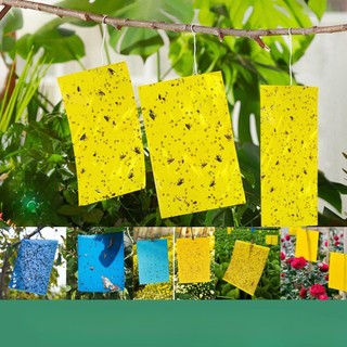Bẫy ruồi vàng,Bẫy côn trùng,2 mặt keo,dạng ,bẫy tất cả côn trùng,Độ dính cao,Dùng cho vườn rau củ quả
