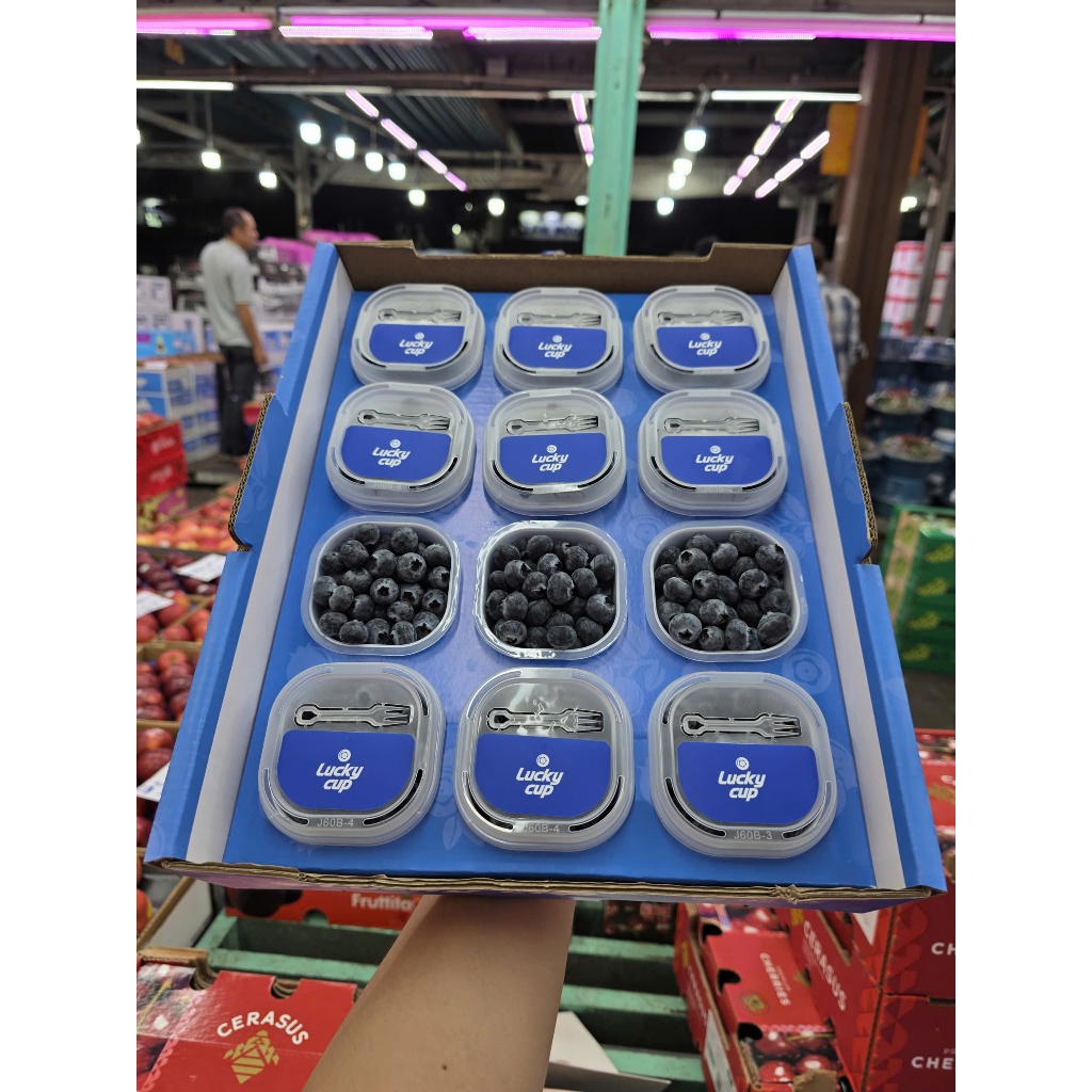 1箱12パック入り。新鮮ブルーベリー 藍苺　蓝莓 quả Việt Quất Ship Hỏa Tốc HCM 1-2 giờ ] 1 thùng việt quất ( 12 cup x 60g