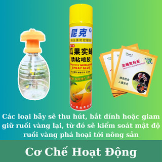 Bẫy ruồi vàng chai 800ml thế hệ mới - Hiệu quả với cả ruồi đực, ruồi cái gây hại cho cây ăn trái và rau hoa màu，k025