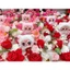 🧸 MÓC KHÓA GẤU BÔNG SIÊU DỄ THƯƠNG