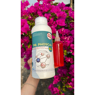 Phoscal B12 - bổ sung canxi phospho , tăng khung xương, trứng to, vỏ cứng, kích mọc lông