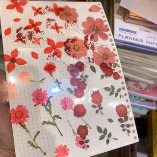 Sticker - Hình dán mẫu hoa 🌸🐻 có 2 dạng: 1 tấm rời và set 10 tấm