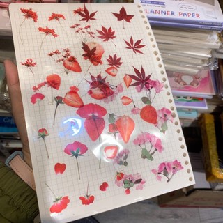 Sticker - Hình dán mẫu hoa 🌸🐻 có 2 dạng: 1 tấm rời và set 10 tấm