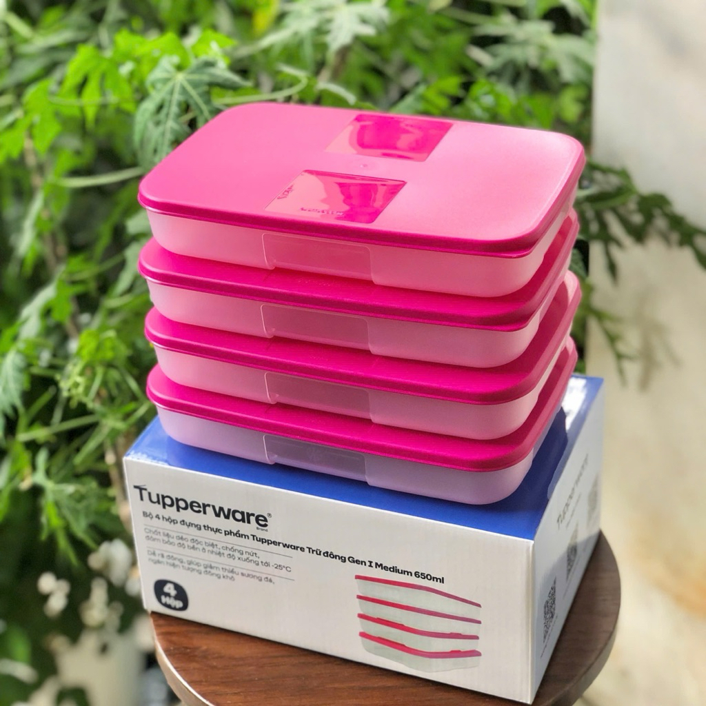 Bộ hộp trữ đông Dẹt 650ml Tupperware Happy Set 4 hộp (kèm vỏ hộp ...