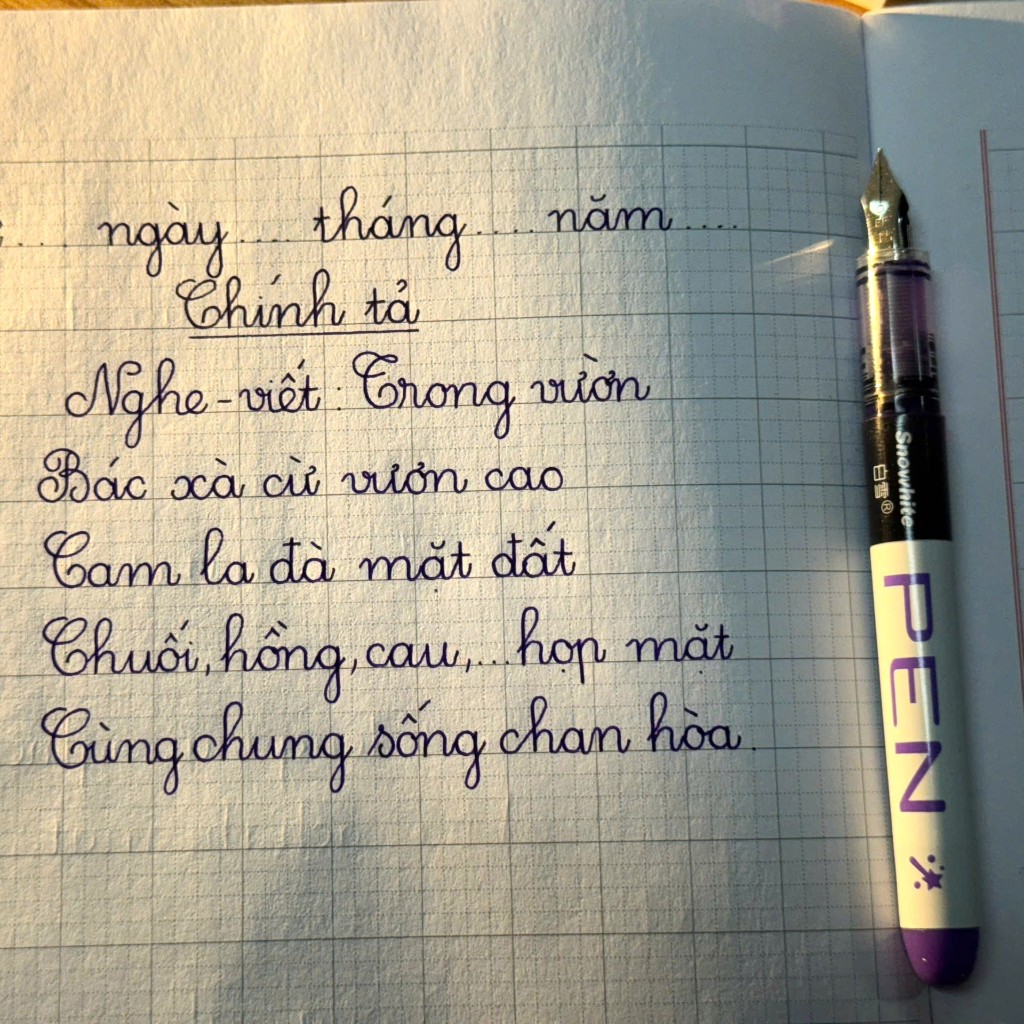 Bút Máy Gel F34 mực sẵn trong thân, không cần bơm lắp mực, cho học sinh cấp 1, Ngòi EF êm trơn 2026