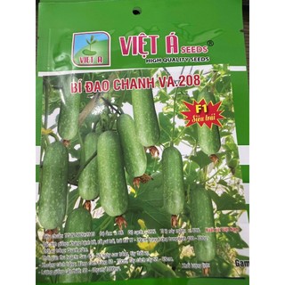 Hạt giống BÍ ĐAO CHANH F1 VA.208, dễ trồng dễ chăm sinh trưởng khoẻ, kháng sâu bệnh - gói 10 hạt