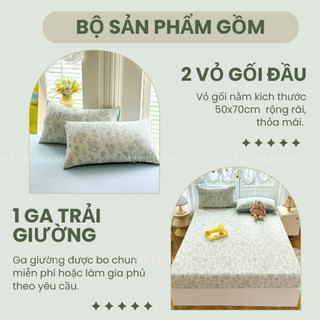 Bộ ga giường và vỏ gối Cotton Đũi Windy M2T BEDDING - bộ gồm 1 ga giường và 2 vỏ gối nằm, mềm, mịn, mát