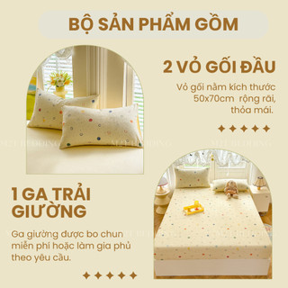 Bộ ga giường và vỏ gối Cotton Đũi Windy M2T BEDDING - bộ gồm 1 ga giường và 2 vỏ gối nằm 50x70cm, mềm, mịn, mát