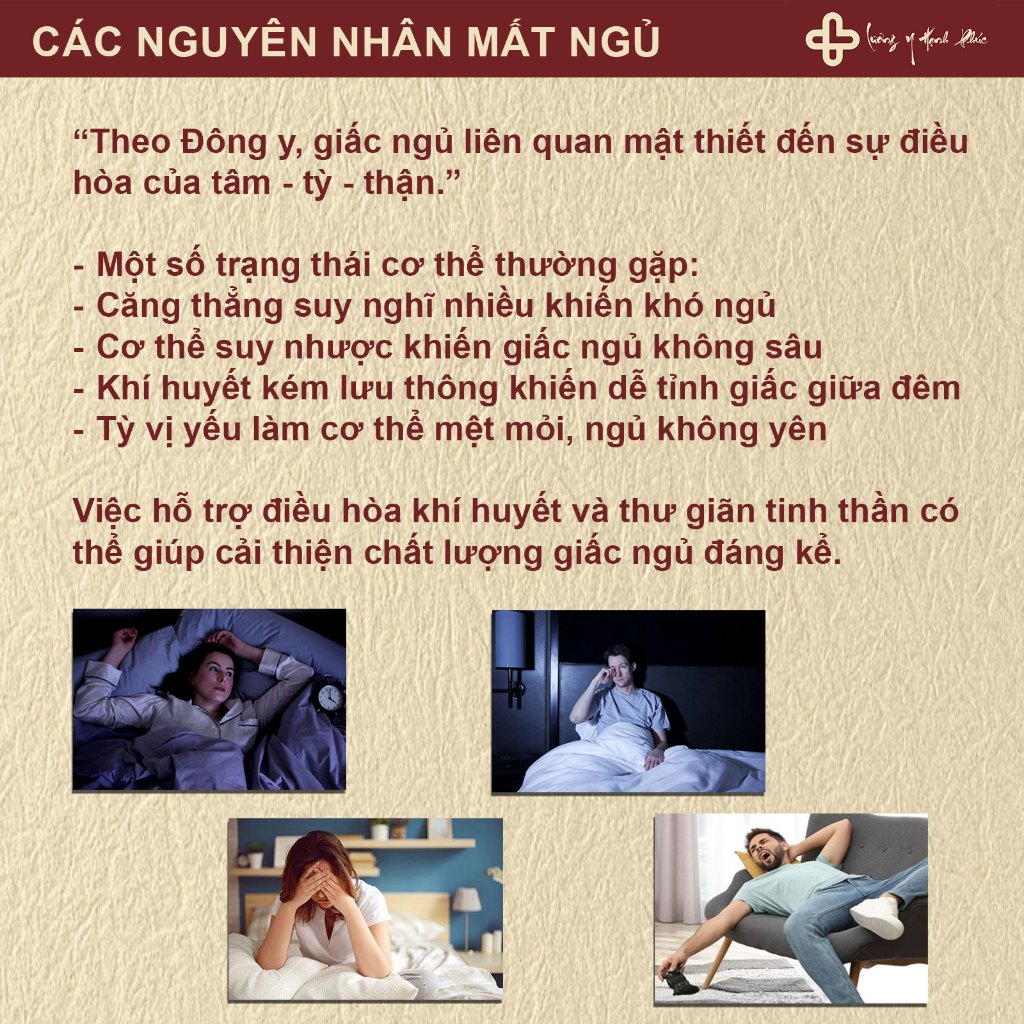 Sử Dụng Trà Ngủ Ngon Tâm An Hỗ Trợ Thư Giãn Trong Đời Sống