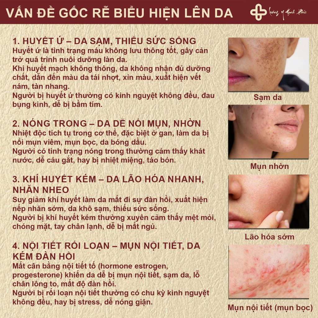 Sử Dụng Trà Dưỡng Nhan Hỗ Trợ Dưỡng Da Trong Đời Sống