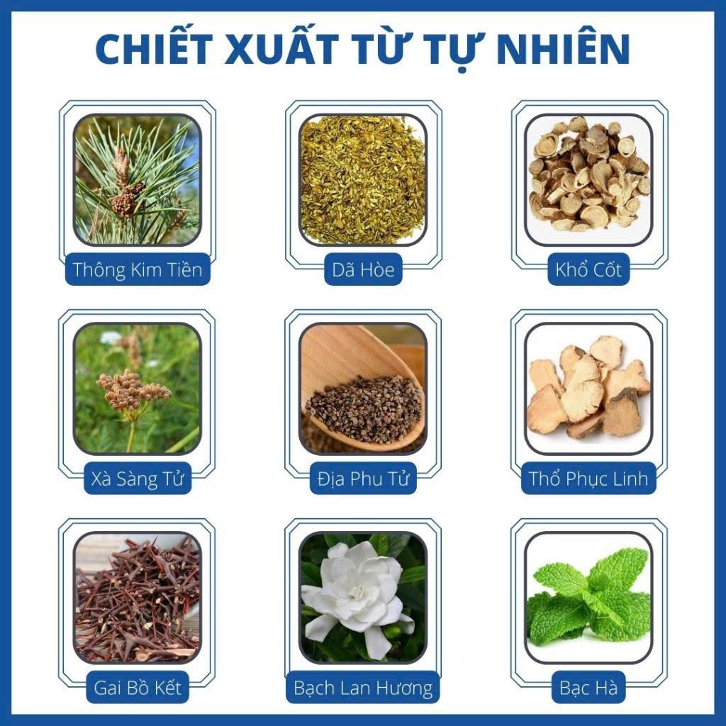 combo 3 tuýp Kem Bôi Nấm Ngứa Con Hổ Chuyên Á Sừng Nấm Ngứa ,Tổ Đỉa, Ghẻ Nước, Nấm Da Đầu Chân Tay-Nội Địa Trung