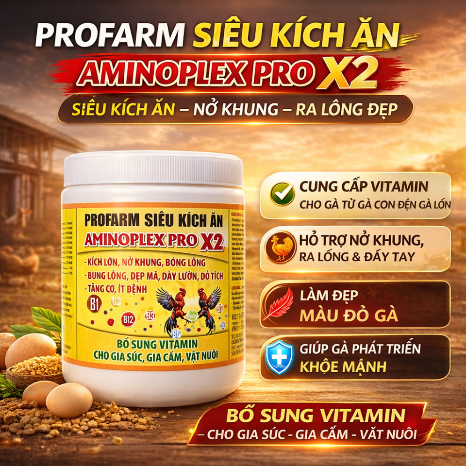 (200g - 500g) Siêu Kích Ăn AMINOPLEX PRO X2 - Cung Câp Vitamin Cho Gà Từ Gà Con Đến Gà Lớn, Nở Khung, Ra Lông, Đầy Tay