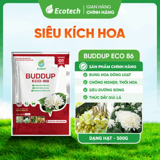 Phân Bón Siêu Kích Hoa BUDDUP Eco 86 (Gói 500g) - Kích Thích Bung Hoa Đồng Loạt, Thúc Đẩy Già Lá, Tăng Đậu Trái