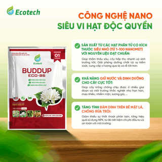 Phân Bón Siêu Kích Hoa BUDDUP Eco 86 (Gói 500g) - Kích Thích Bung Hoa Đồng Loạt, Thúc Đẩy Già Lá, Tăng Đậu Trái
