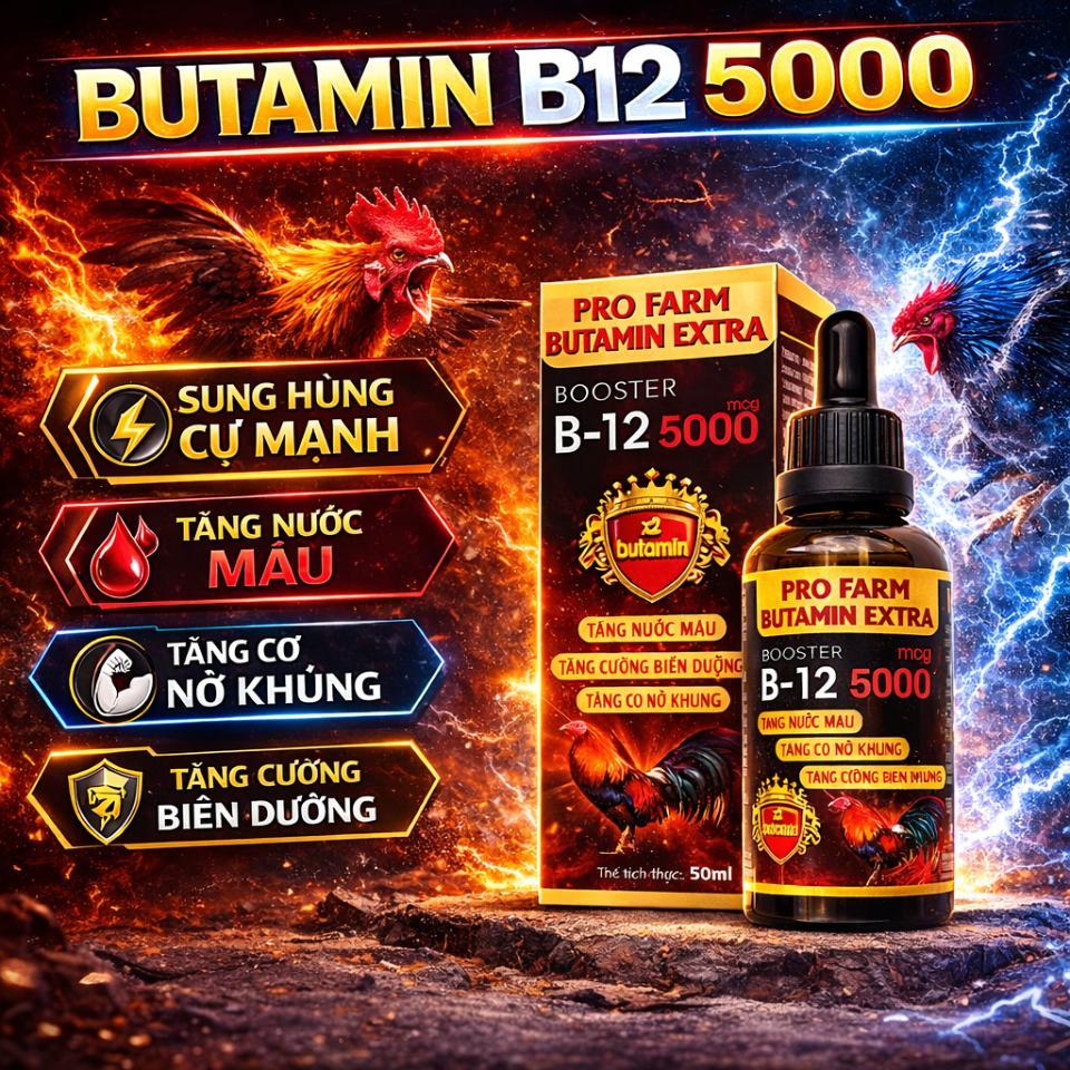 Mua 2 chai Butamin - Tăng 1 chai The King - Giúp gà tăng bo nở khung, tăng nước máu hừng gà (50ml)