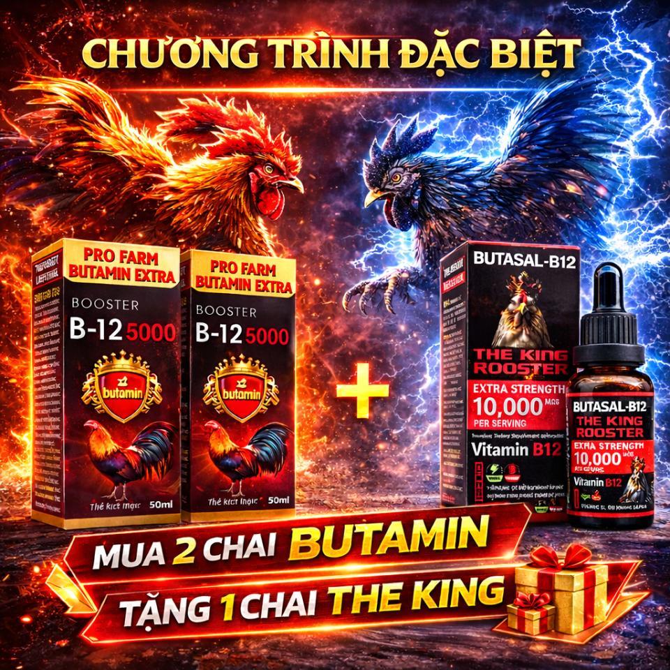Mua 2 chai Butamin - Tăng 1 chai The King - Giúp gà tăng bo nở khung, tăng nước máu hừng gà (50ml)