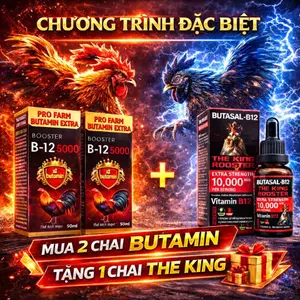 Mua 2 chai Butamin - Tăng 1 chai The King - Giúp gà tăng bo nở khung, tăng nước máu hừng gà (50ml)