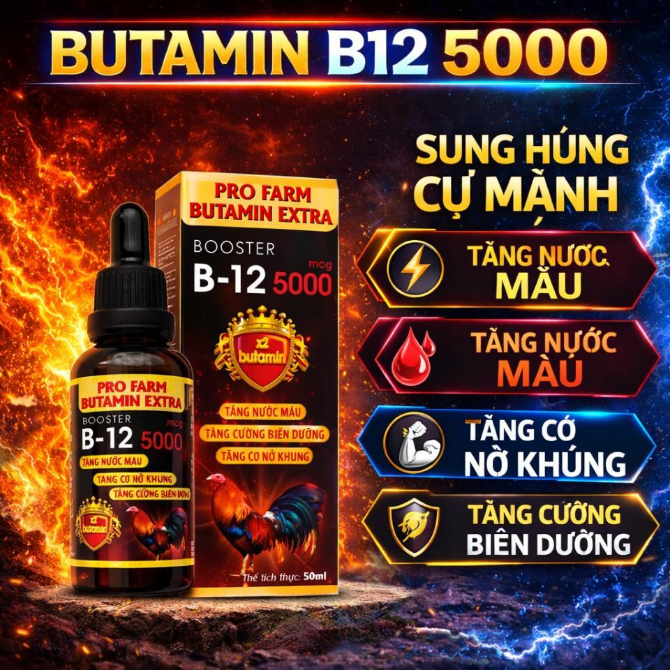 Mua 2 chai Butamin - Tăng 1 chai The King - Giúp gà tăng bo nở khung, tăng nước máu hừng gà (50ml)