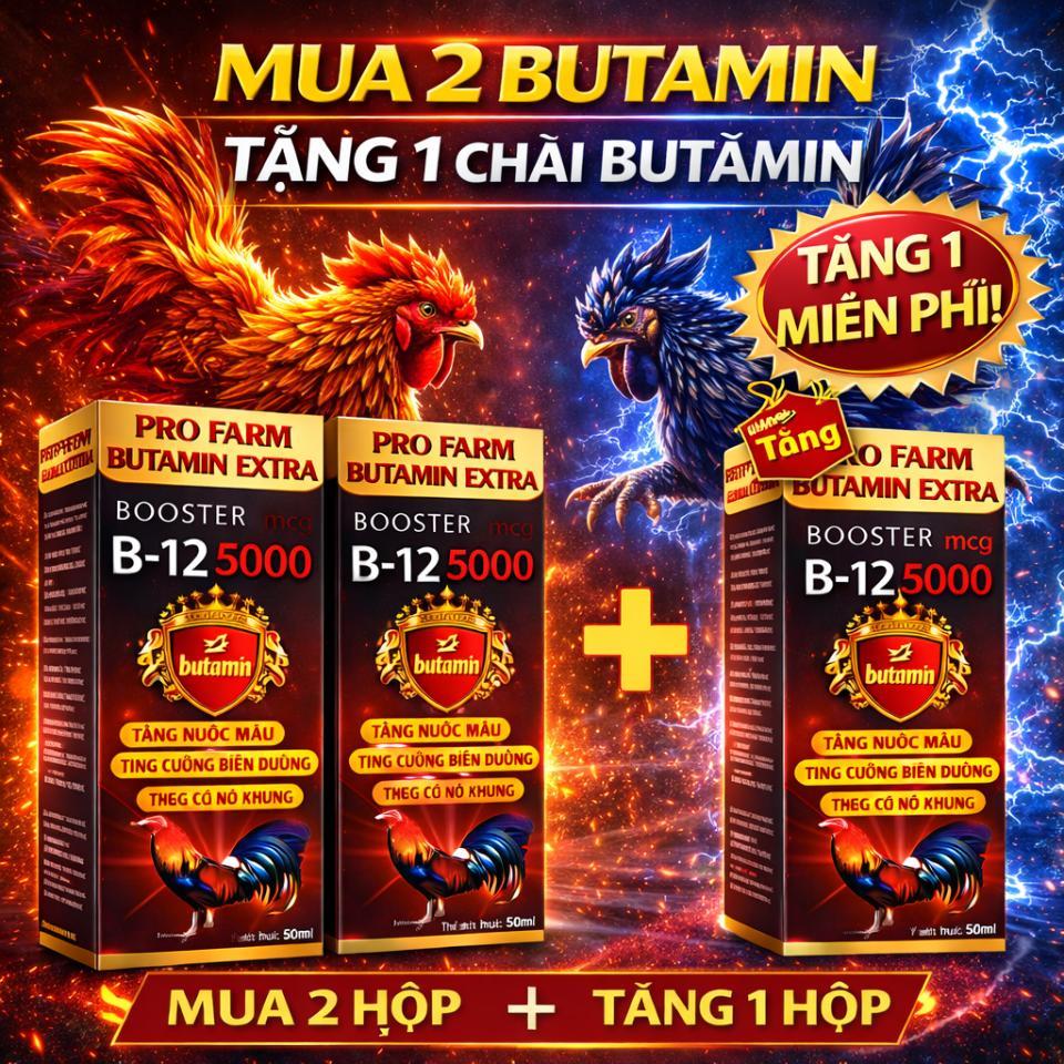 Mua 2 + Tặng 1 Butamin B12 5000 nuôi gà chế độ nhanh sung nhanh cự, tăng nước máu, tăng cơ nở khung, bóng lông đẹp mã