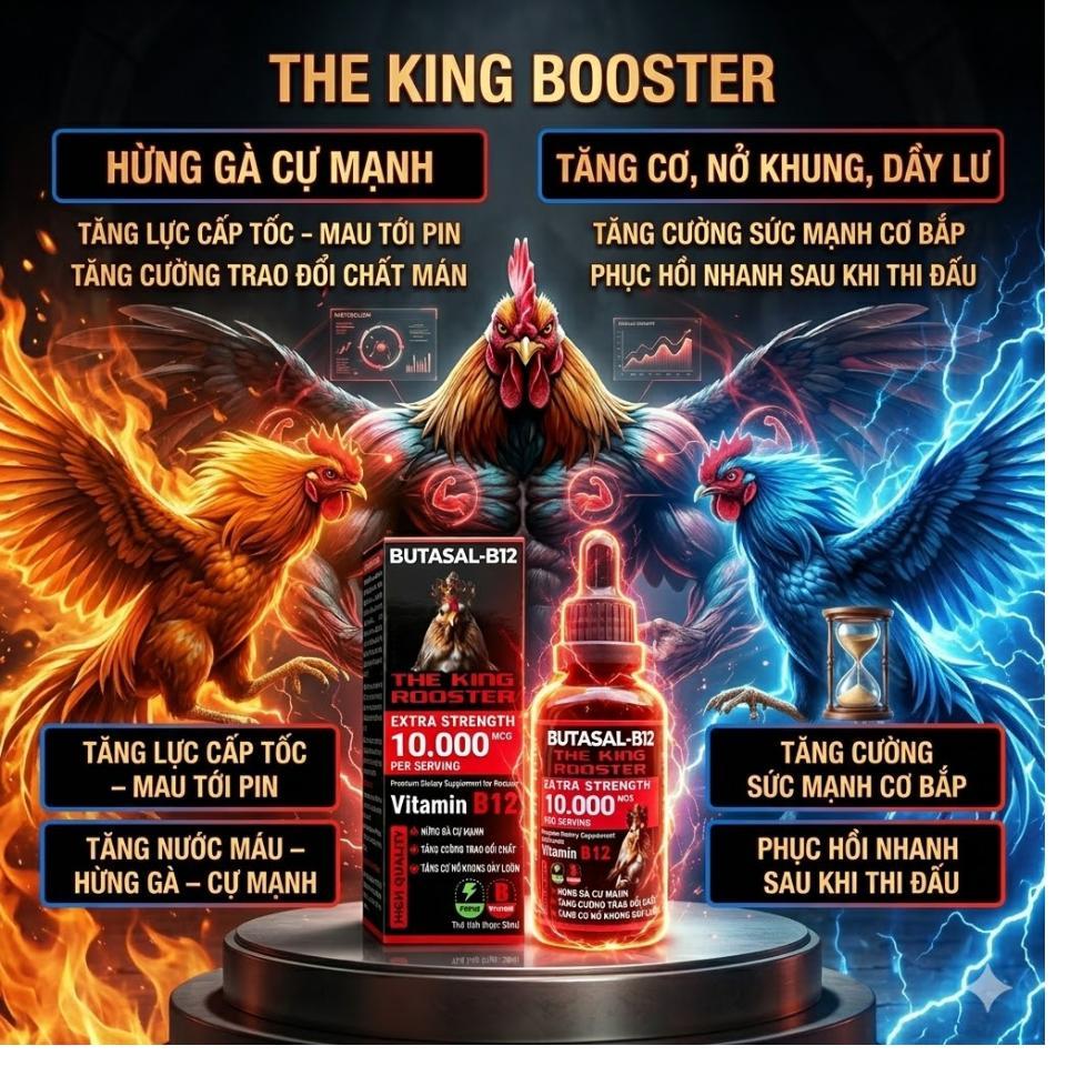 Mua 2 - Tặng 1 The King B12 10.000mcg Nuôi Gà Chế Độ Tăng Bo, Hừng Gà, Tăng Cơ, Nở Khung, Dày Lườn
