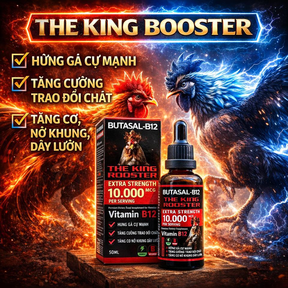 Mua 2 - Tặng 1 The King B12 10.000mcg Nuôi Gà Chế Độ Tăng Bo, Hừng Gà, Tăng Cơ, Nở Khung, Dày Lườn
