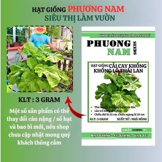 3 Gram - Hạt Giống Cải Cay Khổng Lồ Thái Phương Nam