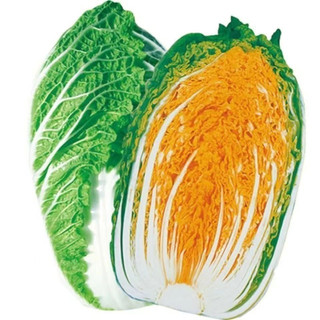 Hạt Giống Cải Thảo Phượng Hoàng (700H) -  - Chịu Nhiệt, Giàu Dinh Dưỡng, Giòn, Ngọt，k027