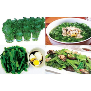 (1200 hạt giống)Hạt giống Cải Mèo Khổng Lồ (Cải Mèo Tây Bắc) Tỉ Lệ Nảy Mầm Cực Cao Cho Ra Sản Lượng Tốt，k021