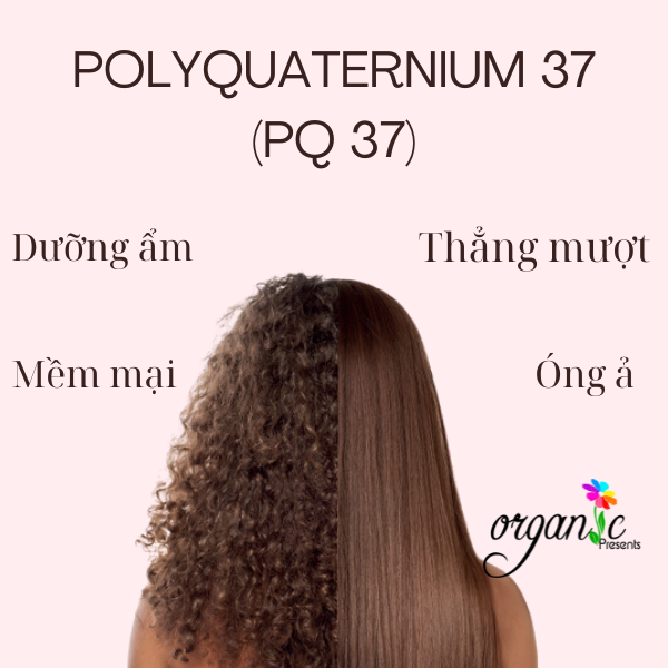 POLYQUATERNIUM-37 (PQ37) – CHẤT NHŨ HÓA & TẠO ĐỘ ĐẶC CHO SẢN PHẨM TÓC