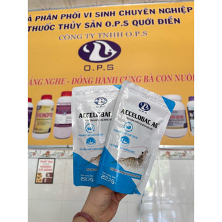 Accelobac Ag - Vi sinh giúp cải thiện chất lượng nước ao nuôi tôm, cá