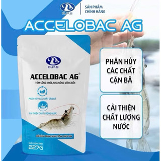 Accelobac Ag - Vi sinh giúp cải thiện chất lượng nước ao nuôi tôm, cá
