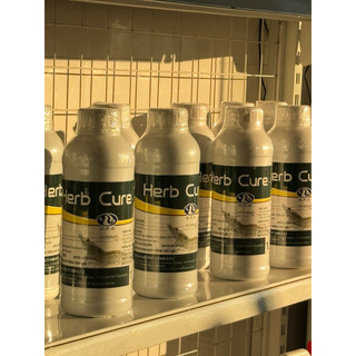Herb Cure - Hỗ trợ phòng bệnh gan tuỵ trên tôm cá