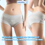 Quần Lót Quần Chip Nữ Boxer Dáng Đùi Chất Cotton Cao Cấp Co Giãn, Thoáng Khí, Năng Động Dễ Mặc ZANABRA L5296