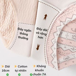 Quần lót nữ cotton cao cấp dáng boxer đáy lót nâng cấp dài kháng khuẩn họa tiết Bắc Âu DEVARI L5296