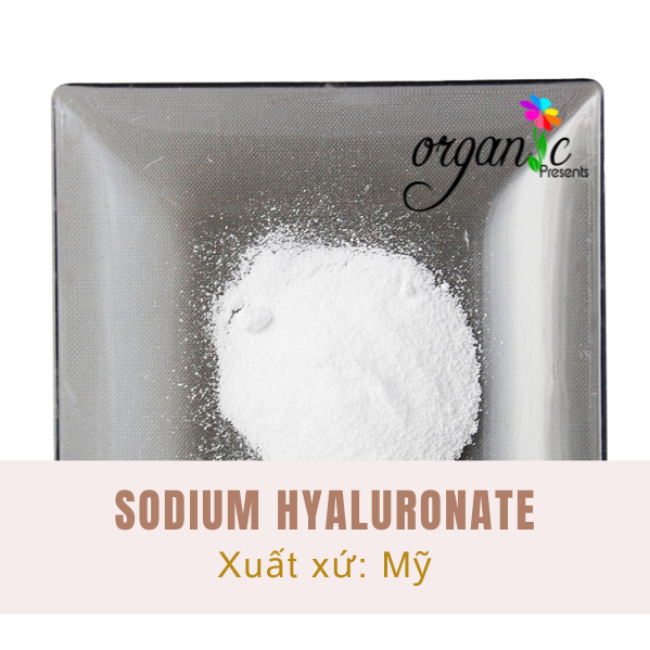 SODIUM HYALURONATE (HA) – NGUYÊN LIỆU CẤP ẨM CAO CẤP