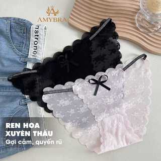 Quần Lót Ren Nữ Xuyên Thấu Gợi Cảm, Quần Chip Nữ Lót Đáy Kháng Khuẩn AMYBRA L1006