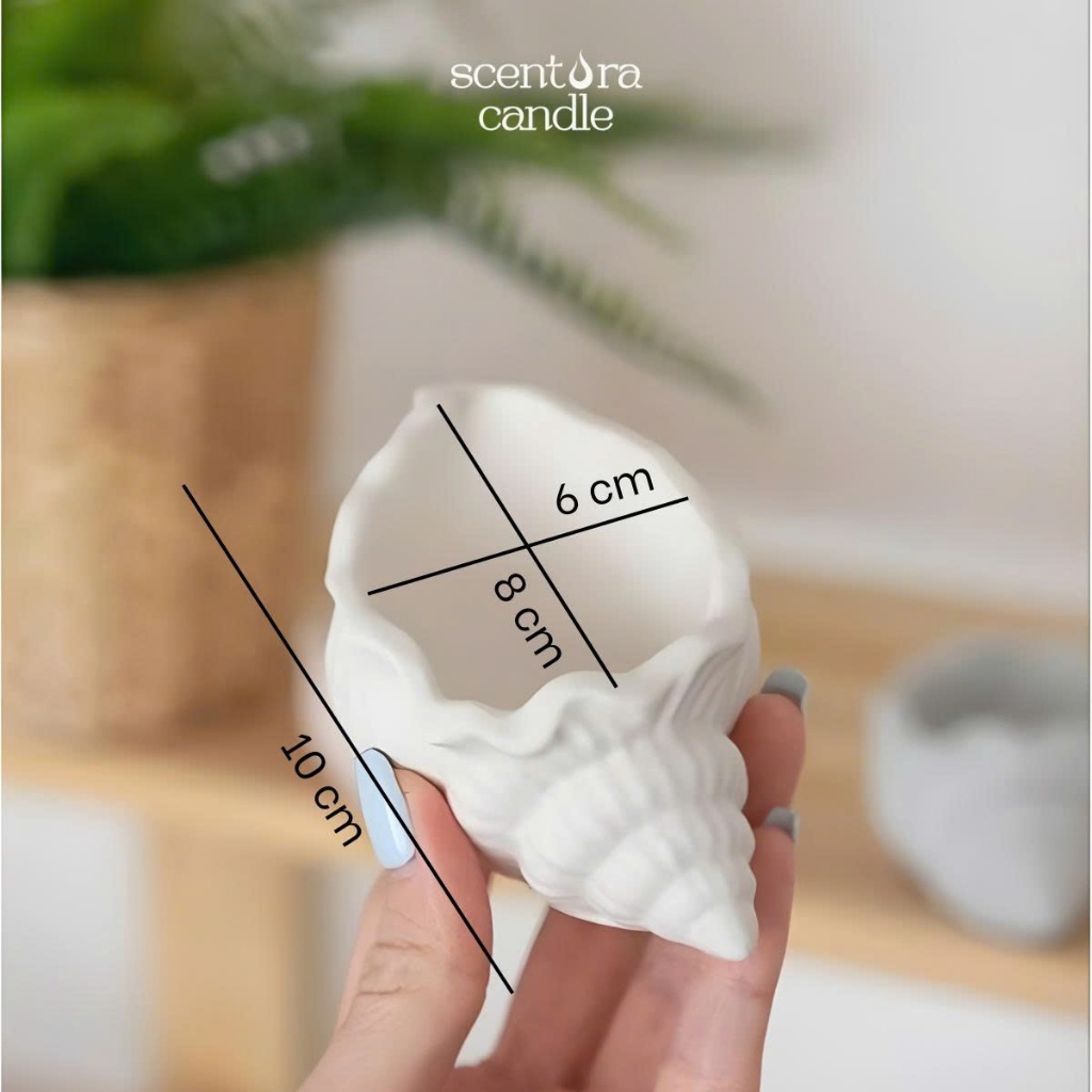 Vỏ ốc thạch cao làm nến ScentoraCandle, đựng phụ kiện, trang trí, decor chụp hình