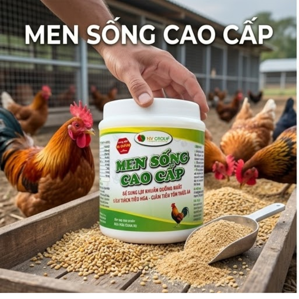 Men sống cao cấp 500g bổ sung lợi khuẩn đường ruột, tiêu hóa tốt, giảm tiêu tốn thức ăn, tiêu chảy.