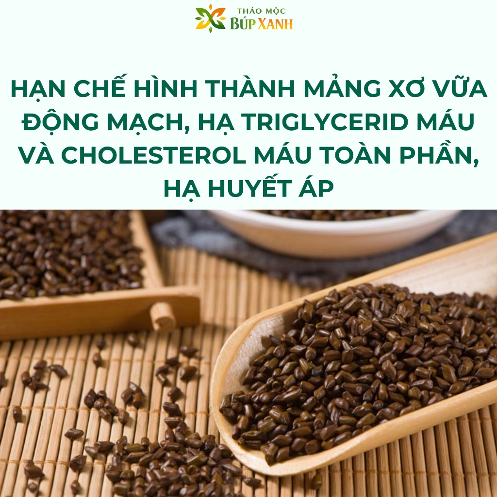 Hạt Muồng Sao Thơm 1kg, Thảo Quyết Minh nguyên chất, thanh nhiêt, sáng mắt Thảo Mộc Búp Xanh