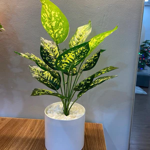 combo cây giả 40cm + chậu + sỏi ❤️ cây hoa giả decor