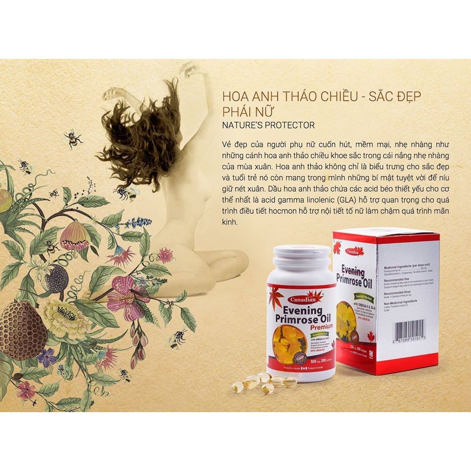 Tinh Dầu Hoa Anh Thảo David Health Evening Primrose Oil, Hỗ Trợ Cân Bằng Nội Tiết Nữ, làm đẹp da tóc