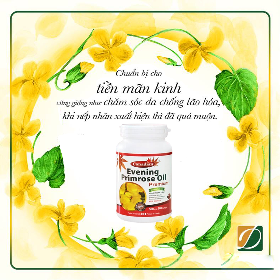 Tinh Dầu Hoa Anh Thảo David Health Evening Primrose Oil, Hỗ Trợ Cân Bằng Nội Tiết Nữ, làm đẹp da tóc