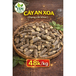 Cây An Xoa khô Hòa Bình, thảo dược quý làm mát gan, giải độc, hạ men gan, ngừa xơ gan, bảo vệ gan