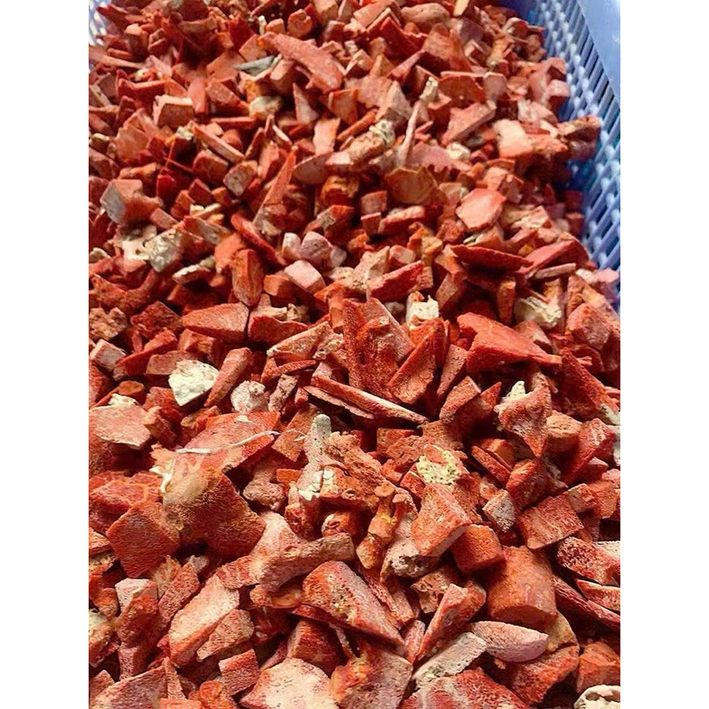 san hô đỏ vụn cắt lát ( red coral )