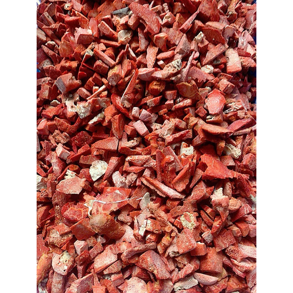 san hô đỏ vụn cắt lát ( red coral )