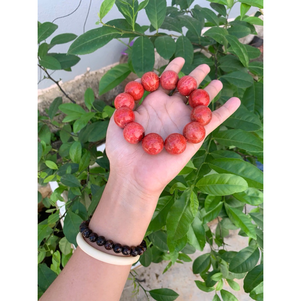 vòng tay san hô đỏ 20ly