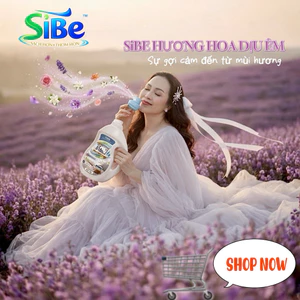 Mua giá hời NƯỚC GIẶT XẢ SiBE – Nước giặt của mọi nhà