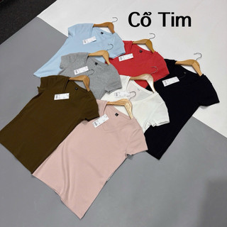 Pull cotton dẻo CỔ TIM nhiều màu ơi