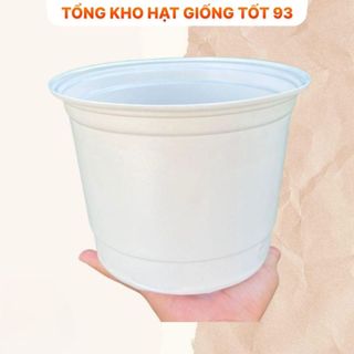 Chậu nhựa vành cứng 23x15 (nên mua từ 4 chậu gửi ko bị móp) Mix màu ngẫu nhiên
